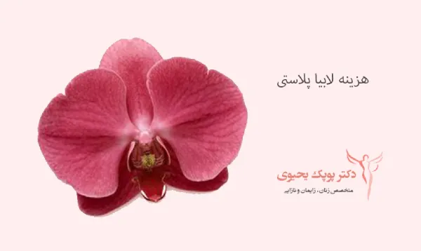 آیا هزینه لابیا پلاستی ارزش دارد؟